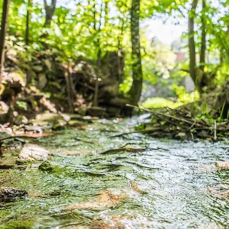 Roubenka Mezi Stromy S Wellness Tatil Evi